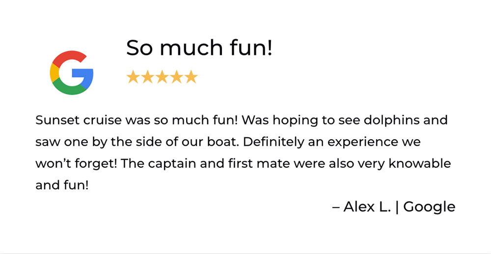 Sarasota Bay Explorers Review so much fun