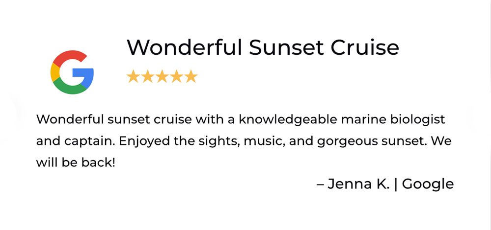 Sarasota Bay Explorers Review wonderful sunset cruise