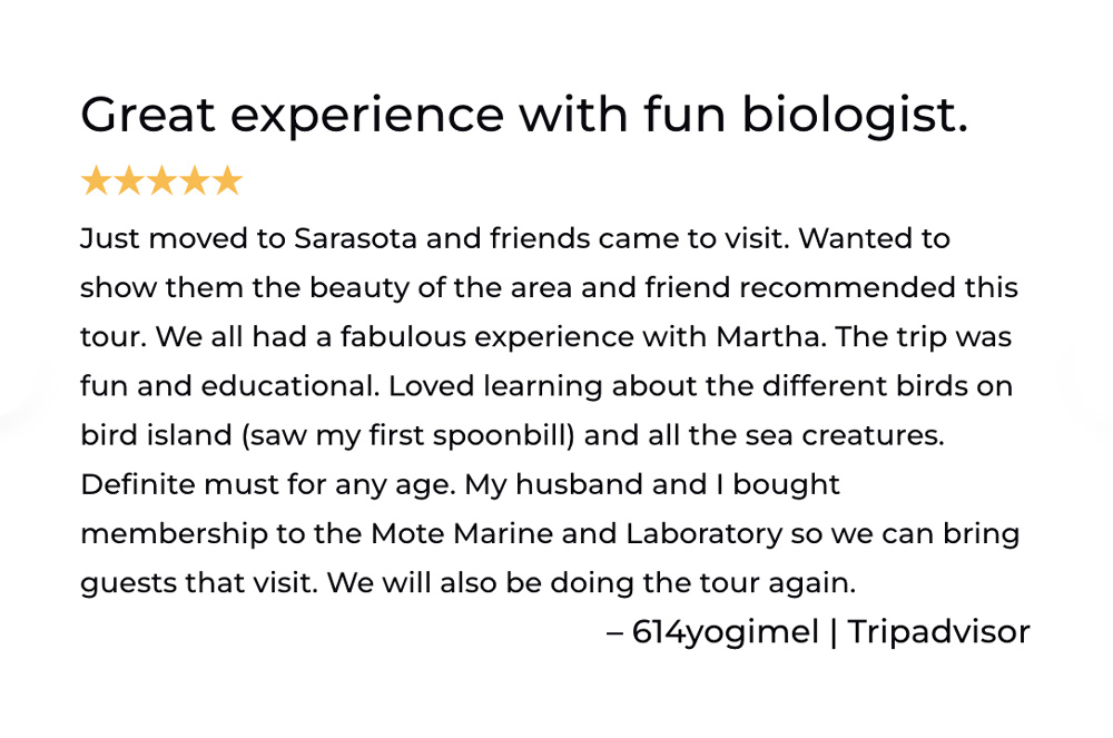 Sarasota Bay Explorers Review great experience with marine biologist