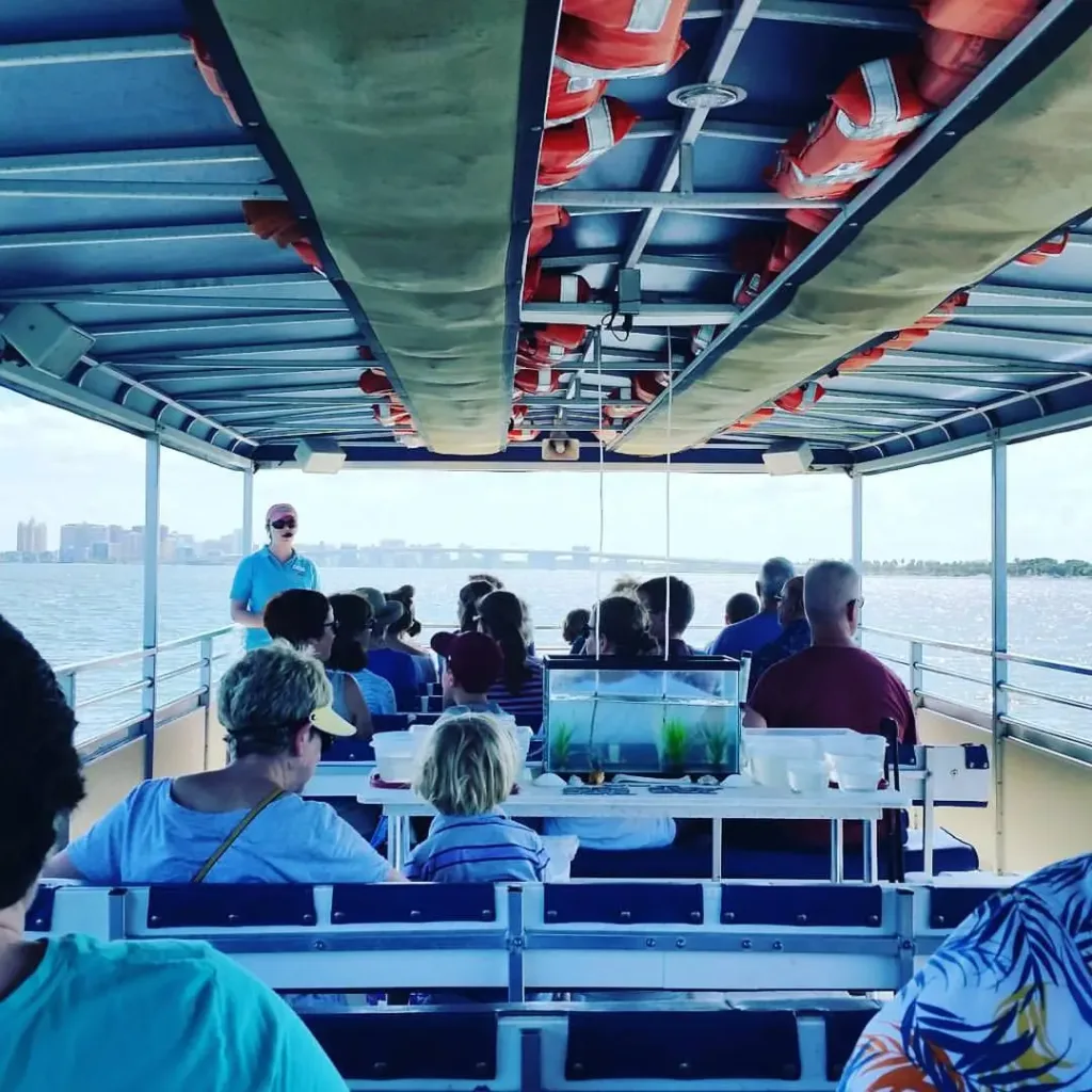 Sarasota Bay Sea Life Encounter Cruise