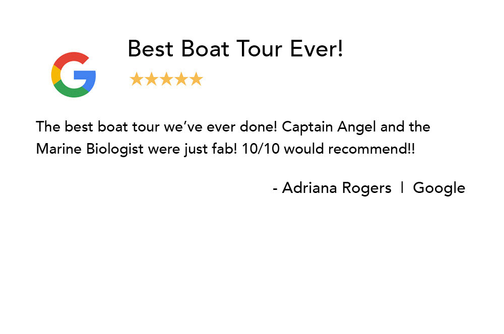 Sarasota Bay Explorers Testimonial