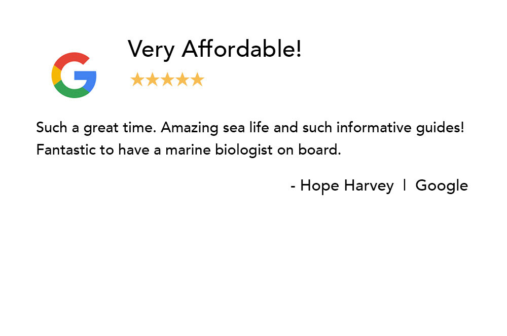 Sarasota-Bay-Explorers-Testimonials9
