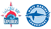 Boat Tours | Sarasota Logo