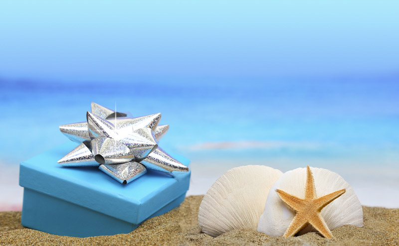 Wrapped-gift-cards-from-Sarasota-Boat-Tours Dolphin jumping on Sarasota Bay